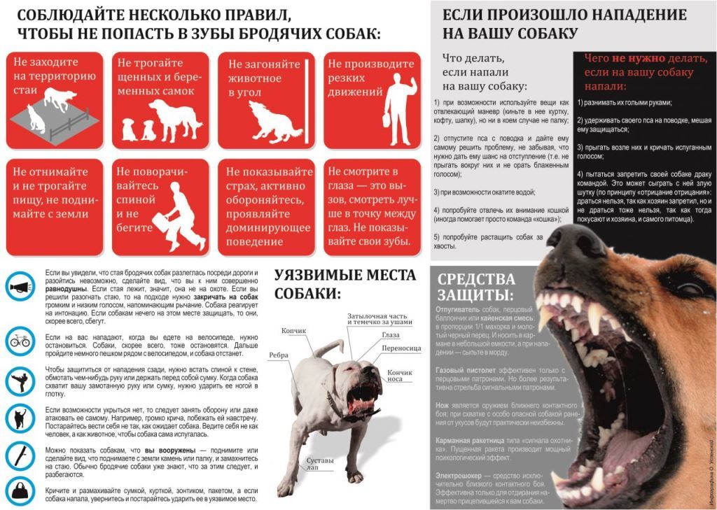 Защита от агрессивной собаки 11